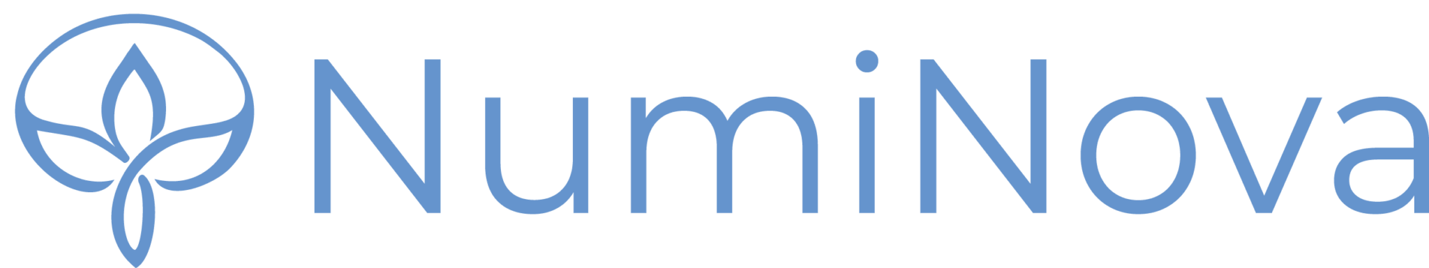 numi-nova-logo-blue-on-white-2048x385[1]